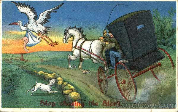 Stop Chasing The Stork Babies