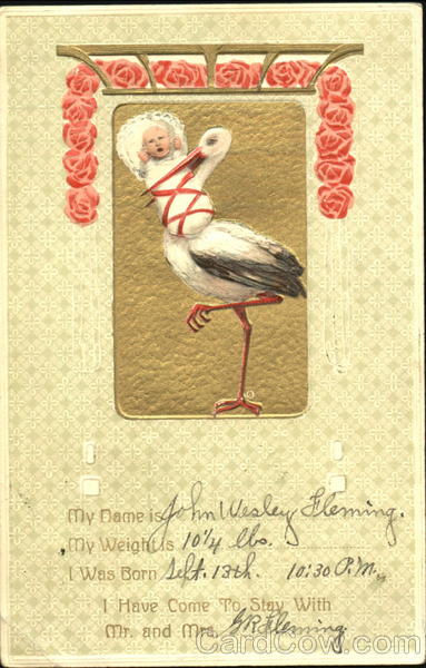 Stork with Baby Announcement Babies