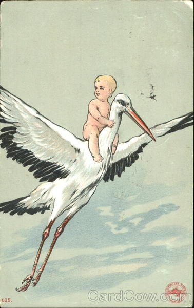 Baby Flying on Stork Babies
