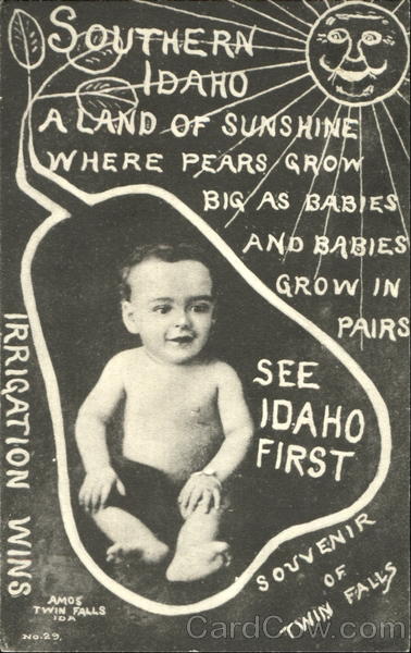 Idaho Baby Twin Falls