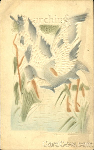 Stork - Searching Babies