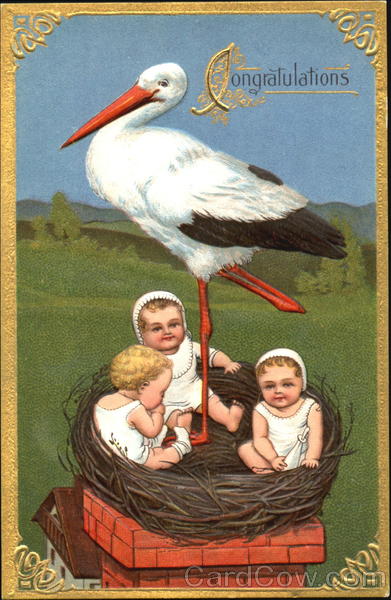 Congratulations Babies