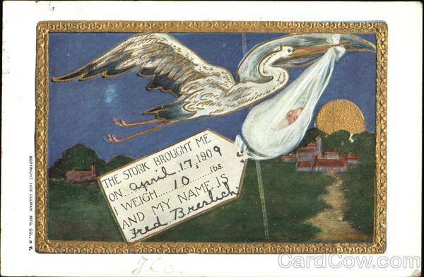 Birth Announcement Babies