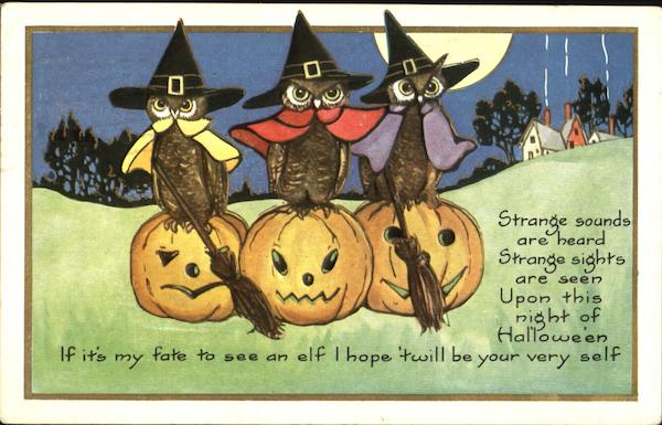 Owls Witches  on JOLS Halloween