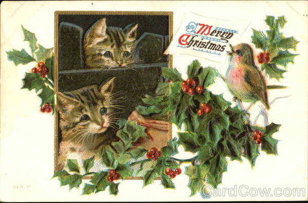 A Merry Christmas Kittens Bird
