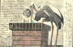 Tinted Stork with Baby Postcard