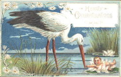 Hearty Congratulations Postcard