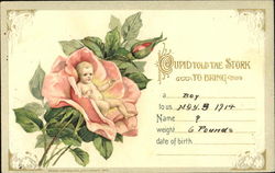 Cupid Told The Stork To Bring A Boy Postcard
