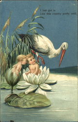 Stork with LIlly Babies Postcard
