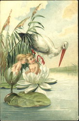 Stork with Lilly Babies Postcard
