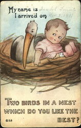 Two Birds In A Nest Which Do You Like The Best? Babies Postcard Postcard