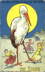 The Most Dangerous Bird In The World The Stork Postcard