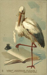 What Address Please? Postcard