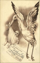 Stork Birth Announcement Postcard