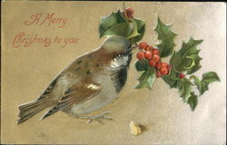 A Merry Christmas To You Bird Postcard