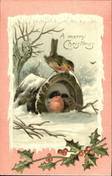A Merry Christmas Bird Postcard