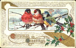 Christmas Greetings Birds Postcard
