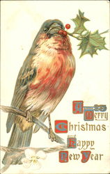 A Merry Christmas And Happy New Year Bird Postcard