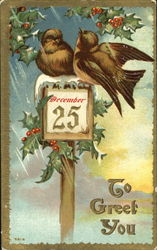 December 25 To Greet You Birds Postcard