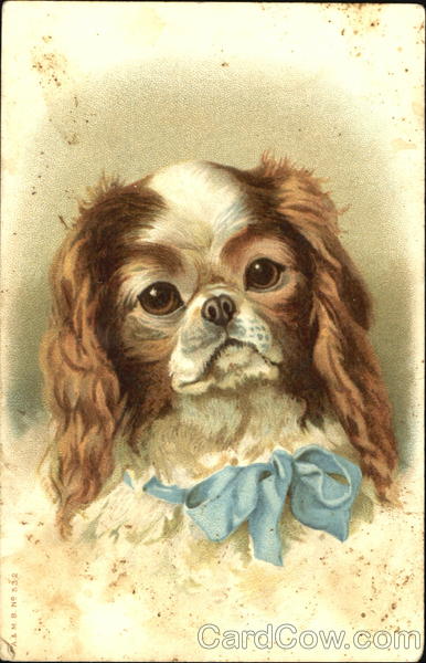 Puppy in Blue Bow Dogs