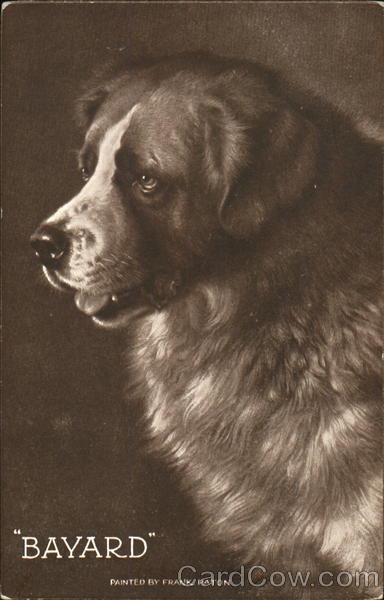 Bayard Dogs