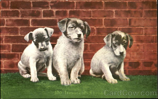 Innocents Abroad Dogs