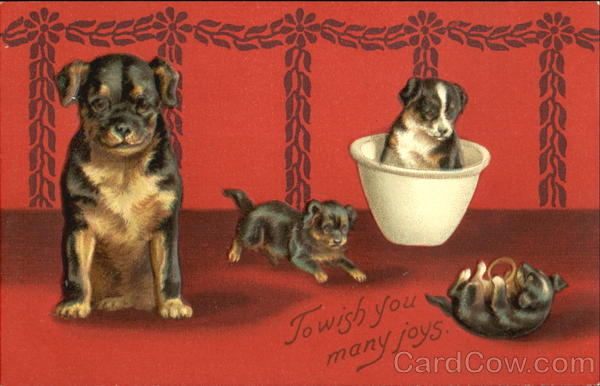 To Wish You Many Joys Dogs