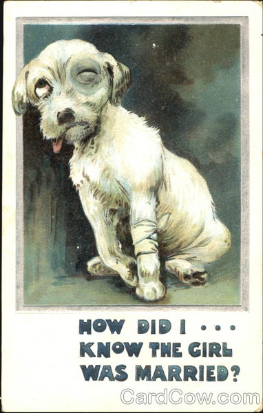How Did I… Know The Girl Was Married? Dogs