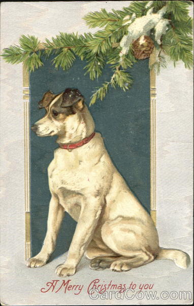 A Merry Christmas To You Dogs