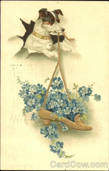 Dog with Flowers in Shoe Dogs