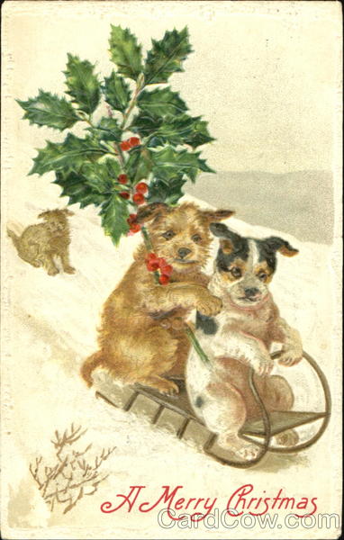 A Merry Christmas Dogs