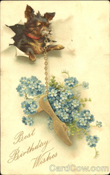 Best Birthday Wishes Dogs