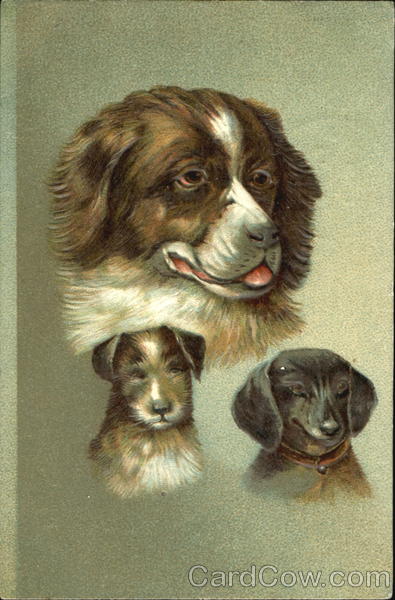 Portrait of Dogs