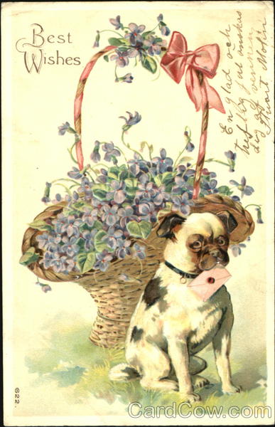 Best Wishes Dogs