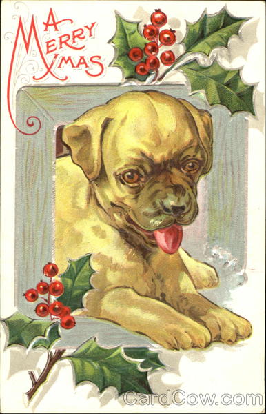 A Merry Christmas Dogs