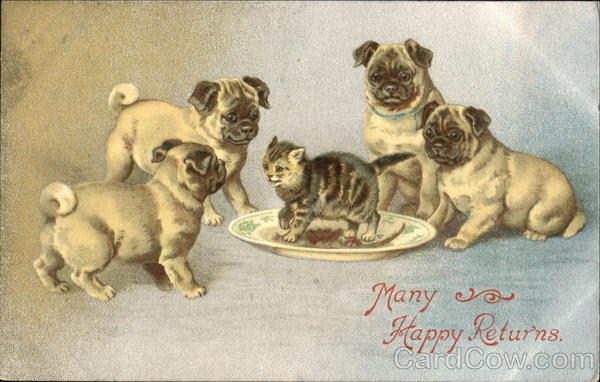 Many Happy Returns Dogs