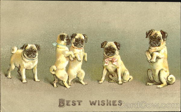 Best Wishes Dogs