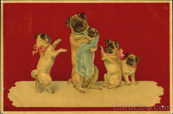 Pugs Dogs