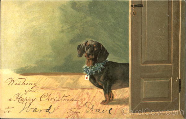 Wishing You A Happy Christmas Dogs