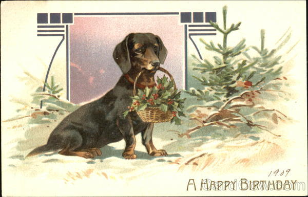 A Happy Birthday Dogs