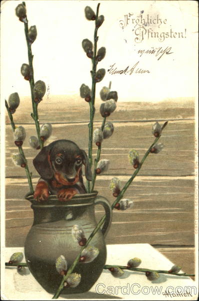 Frohliche Pfingsten Dogs