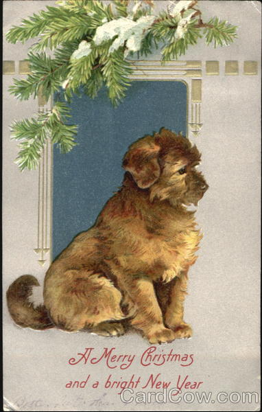 A Merry Christmas And A Bright New Year Dogs