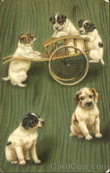 Five puppies, three of which are playing with a cart Brefkort Germany
