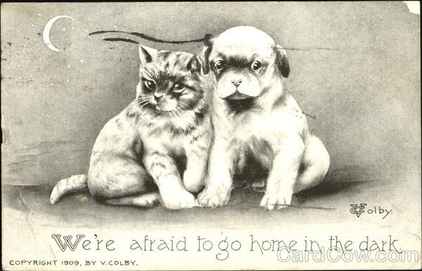 Kitten and Puppy We're Afraid to go home in the dark