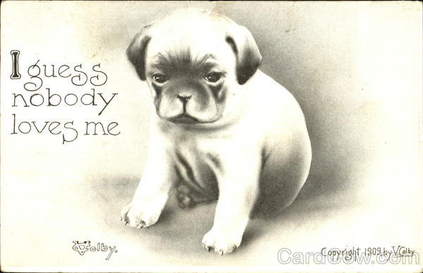 I Guess Nobody Loves Me Vincent V. Colby Dogs