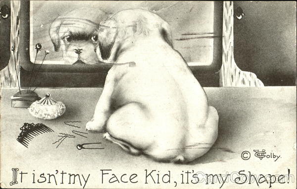 It Isn't My Face Kid It's My Shape! Vincent V. Colby