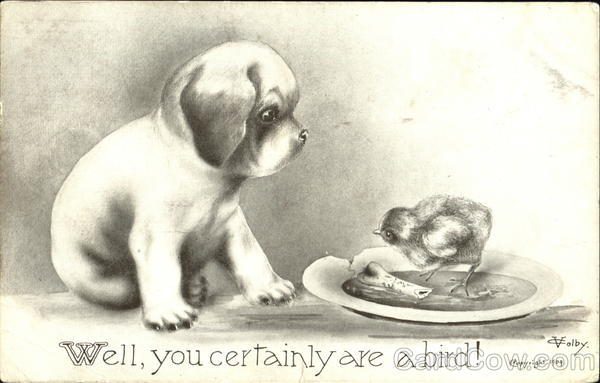 Well You Certainly Are A Bird! Vincent V. Colby Dogs