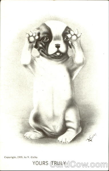 Yours Truly Vincent V. Colby Dogs