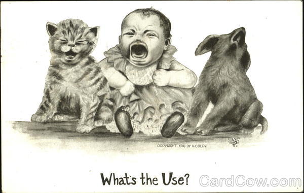 What's The Use Vincent V. Colby Dogs