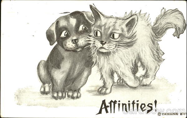 Affinities Dogs